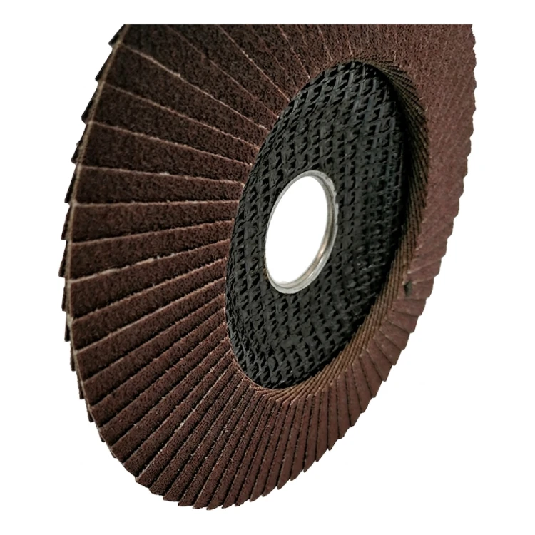 Δίσκος φυλλοειδής StarFlex για χάλυβα T29 125 mm – κοκκομετρία 120 000-971 (3)